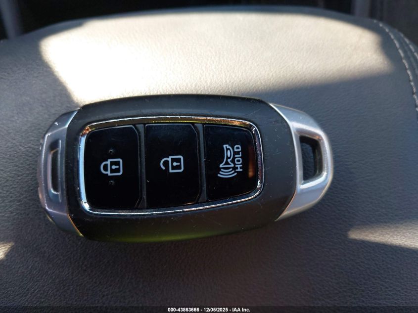 2020 Hyundai Santa Fe Sel VIN: 5NMS33AD3LH175334 Lot: 43863666