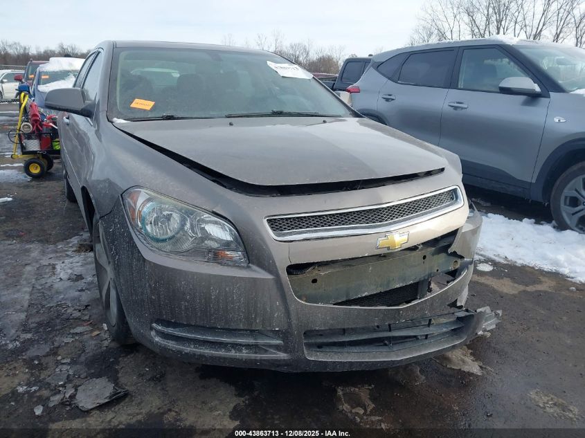 CHEVROLET MALIBU 1LT