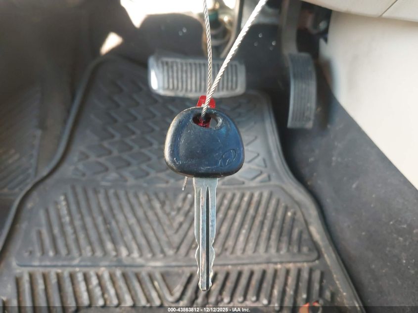 2009 Hyundai Santa Fe Gls VIN: 5NMSG13D99H236992 Lot: 43863812