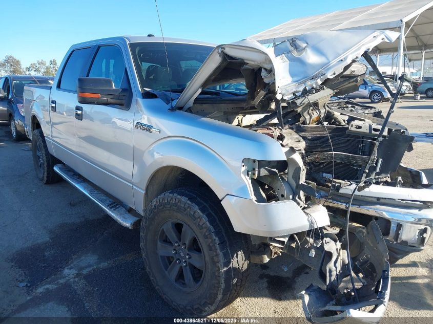 FORD F-150 XLT
