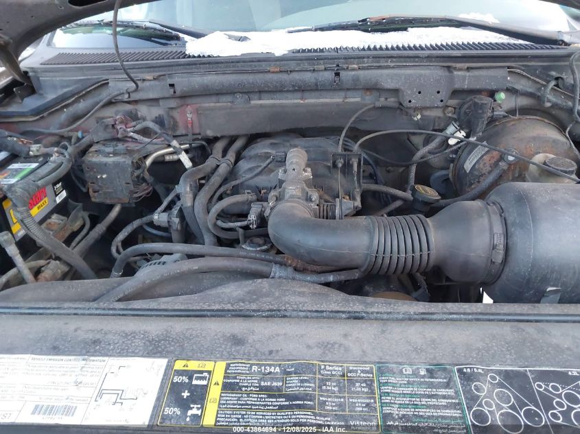 2003 Ford F-150 Xl/Xlt VIN: 1FTRX17213NB50559 Lot: 43864694