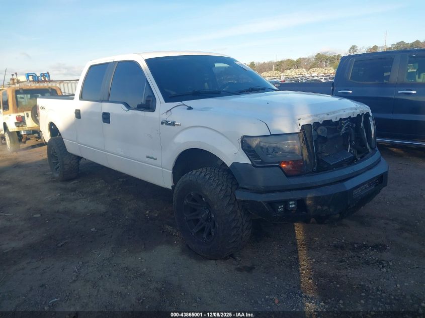 FORD F-150 XL