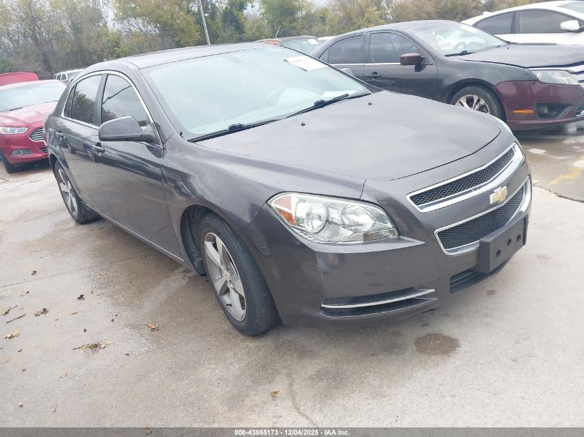 CHEVROLET MALIBU 1LT