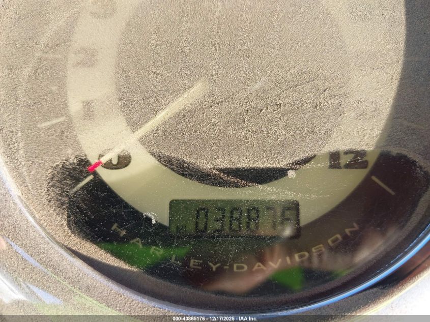 2007 Harley-Davidson Flstn VIN: 1HD1JD5107Y089234 Lot: 43865176