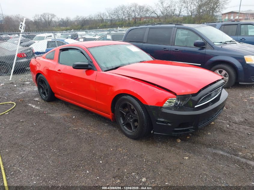 FORD MUSTANG V6
