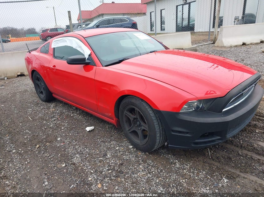 FORD MUSTANG 2014, VIN 1ZVBP8AM4E5315119