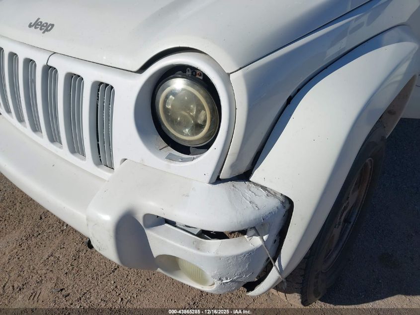 2002 Jeep Liberty Limited Edition VIN: 1J8GL58KX2W198507 Lot: 43865285