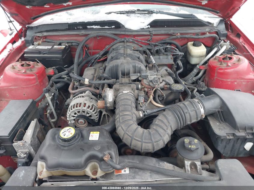 2008 Ford Mustang V6 Deluxe VIN: 1ZVHT80N285109219 Lot: 43865560