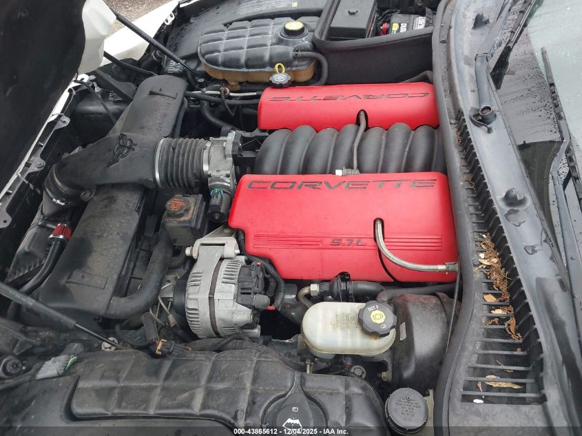 2002 Chevrolet Corvette VIN: 1G1YY22G825122010 Lot: 43865612