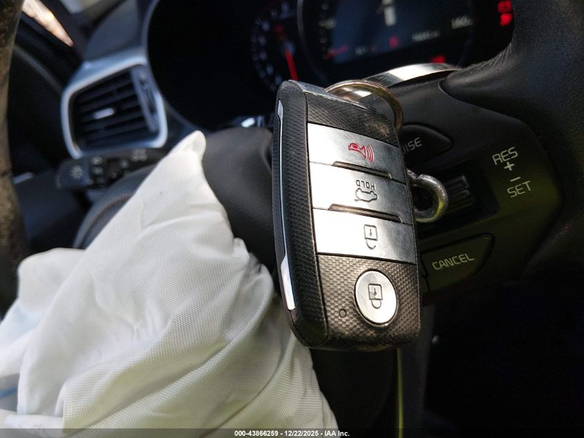 2017 Kia Sorento 3.3L Ex VIN: 5XYPHDA50HG221483 Lot: 43866259