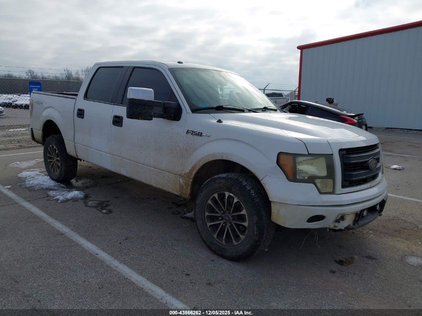 FORD F-150 STX