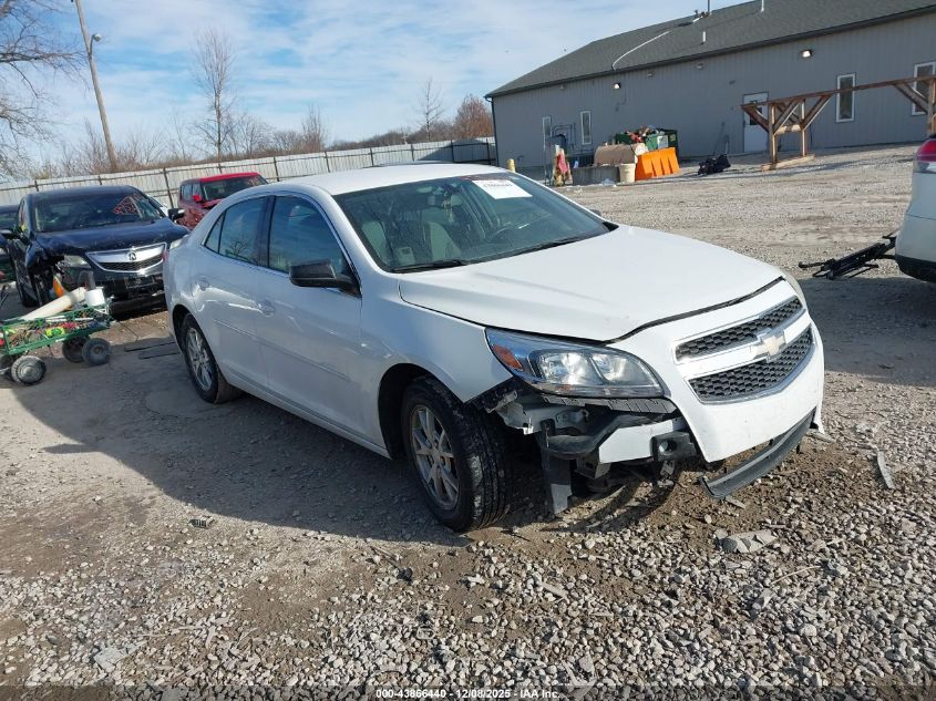 CHEVROLET MALIBU 1FL