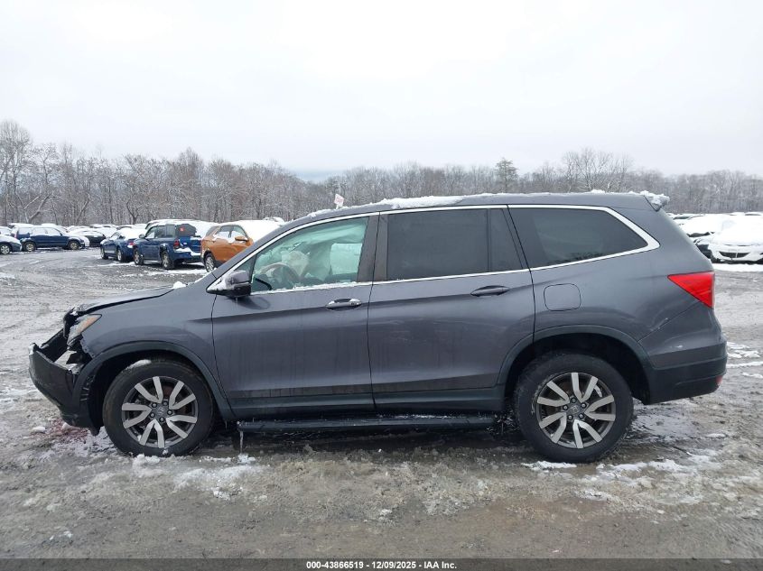 2019 Honda Pilot Ex VIN: 5FNYF6H31KB070078 Lot: 43866519