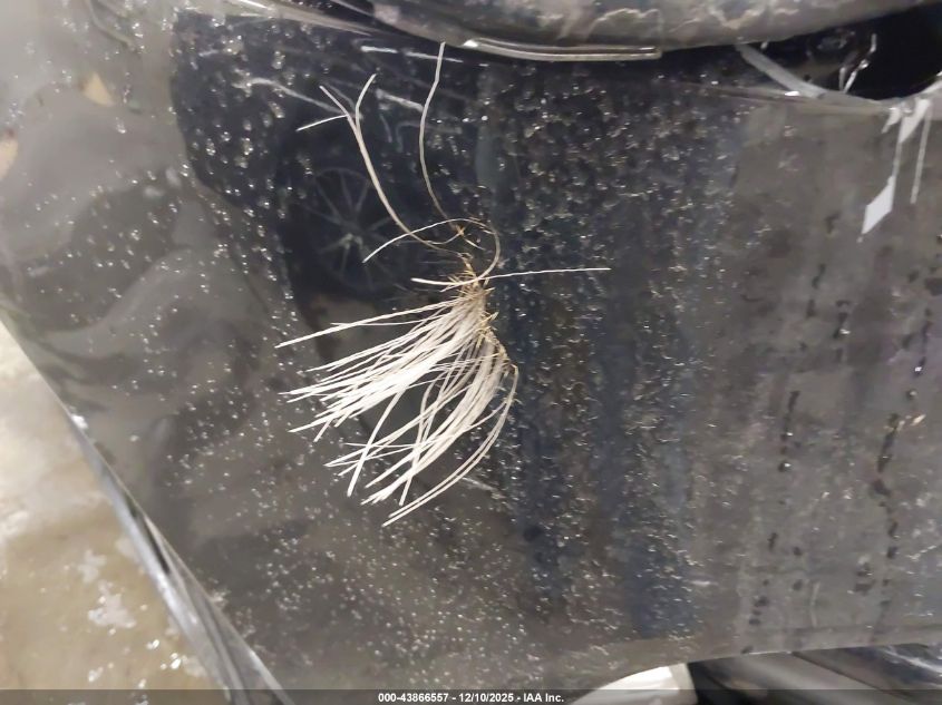 2021 Ford Edge St-Line VIN: 2FMPK4J97MBA13597 Lot: 43866557