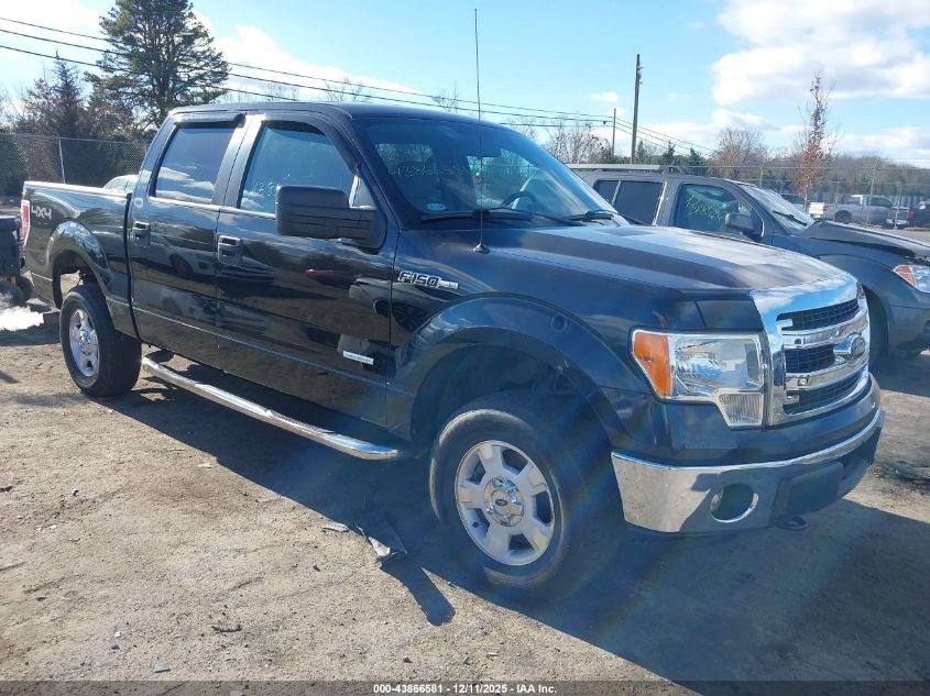 FORD F-150 XLT