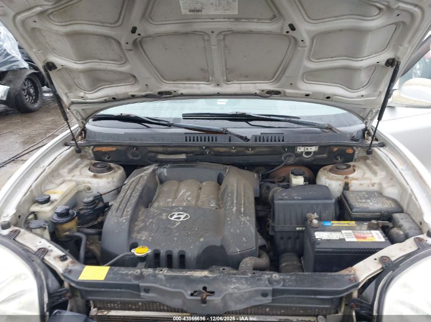 2003 Hyundai Santa Fe Gls/Lx VIN: KM8SC13D03U546293 Lot: 43866696