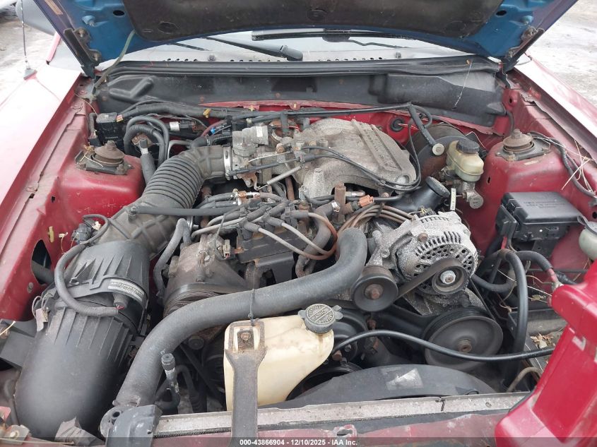 1998 Ford Mustang VIN: 1FAFP444XWF162241 Lot: 43866904