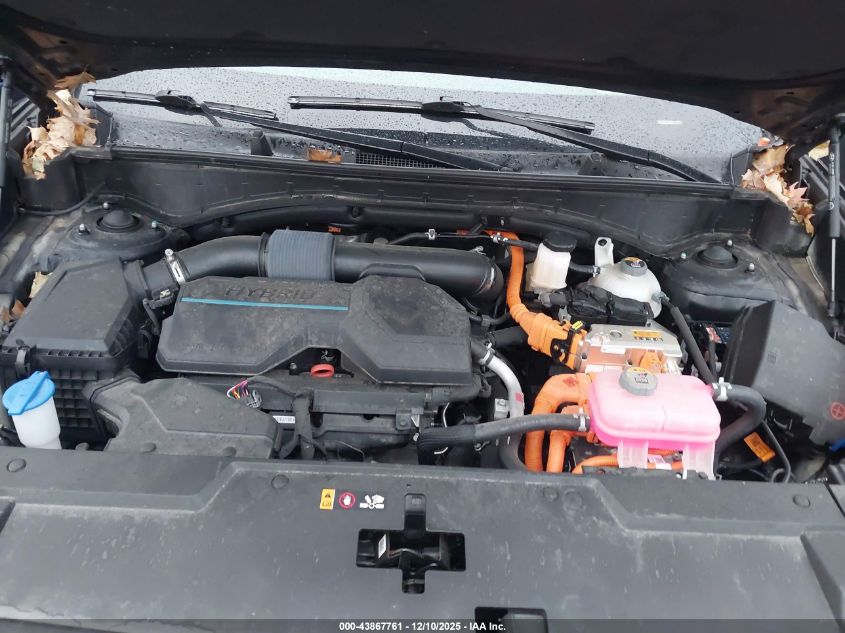 2024 Hyundai Santa Fe Hybrid Sel VIN: 5NMP24G16RH007370 Lot: 43867761