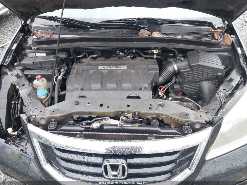 2008 Honda Odyssey Ex-L VIN: 5FNRL38678B041201 Lot: 43868079