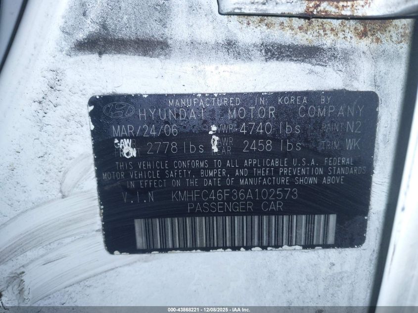 2006 Hyundai Azera Limited/Se VIN: KMHFC46F36A102573 Lot: 43868221