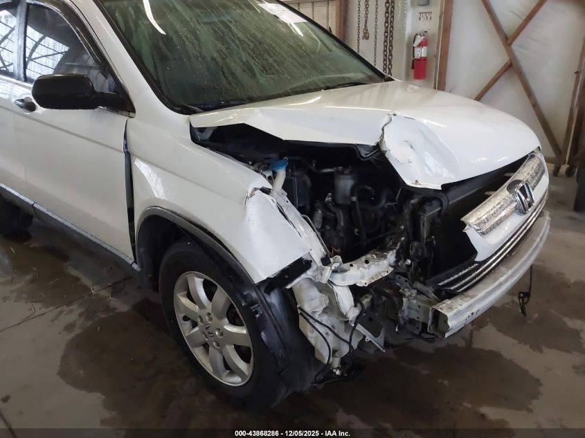 2007 Honda Cr-V Ex VIN: JHLRE48517C101009 Lot: 43868286