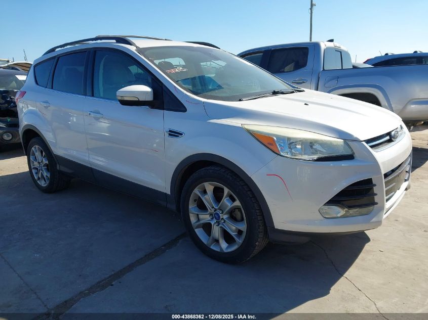 FORD ESCAPE SEL