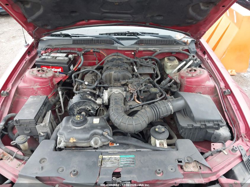 2005 Ford Mustang VIN: 1ZVFT84N855240247 Lot: 43868662