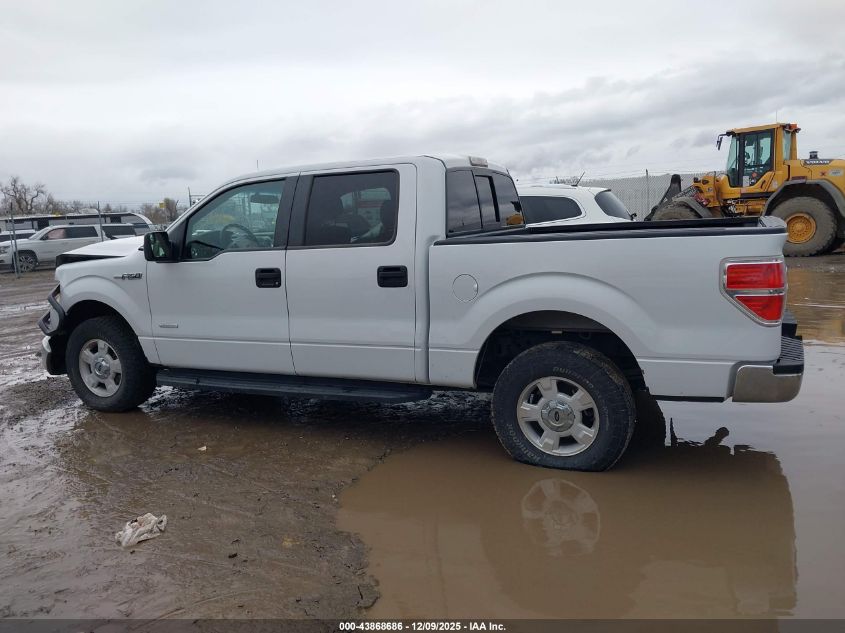 2014 Ford F-150 Xlt VIN: 1FTFW1ET1EKF30667 Lot: 43868686
