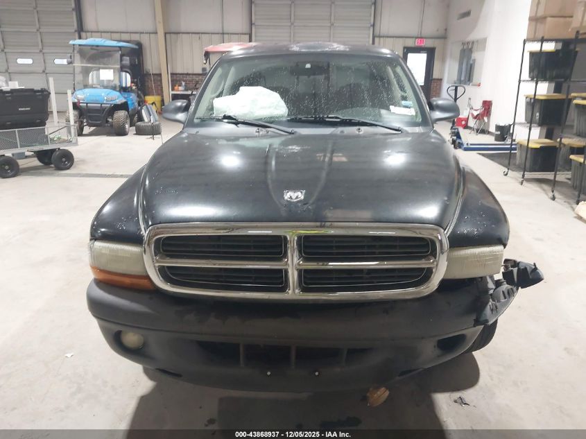 2004 Dodge Dakota Sport/Sxt VIN: 1D7HL38N14S768694 Lot: 43868937