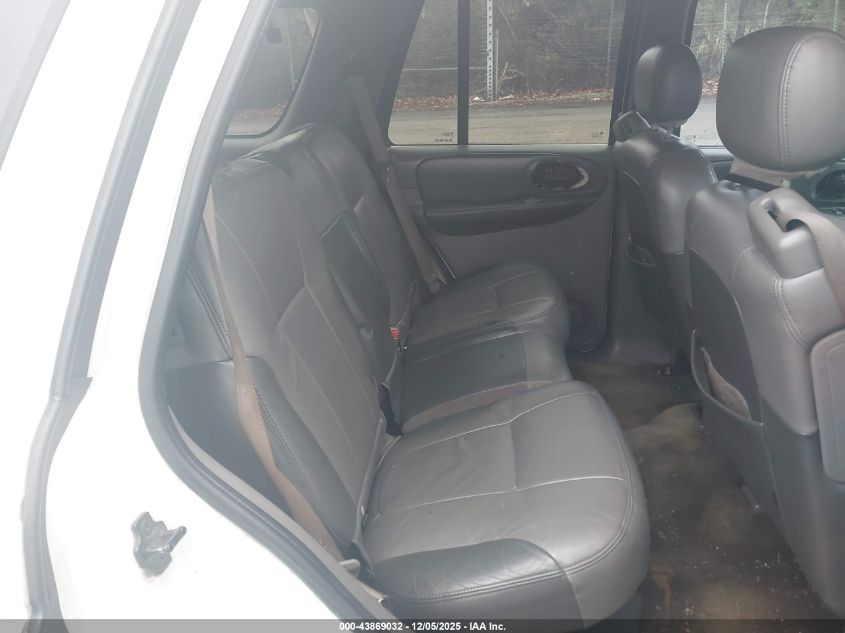 2002 Chevrolet Trailblazer Ltz VIN: 1GNDS13S322408120 Lot: 43869032