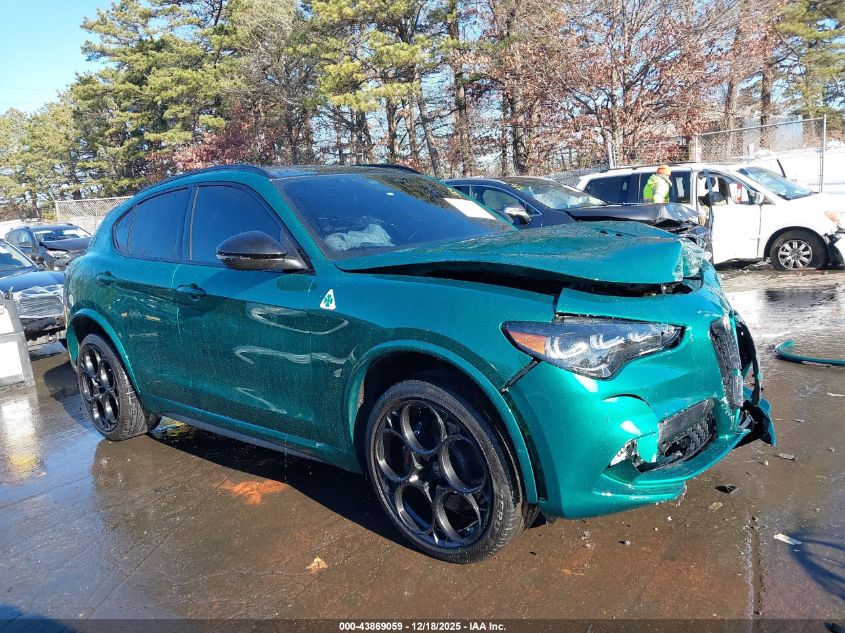 2024 Alfa Romeo Stelvio Quadrifoglio Carbon Awd VIN: ZASPAKEV4R7D93444 Lot: 43869059