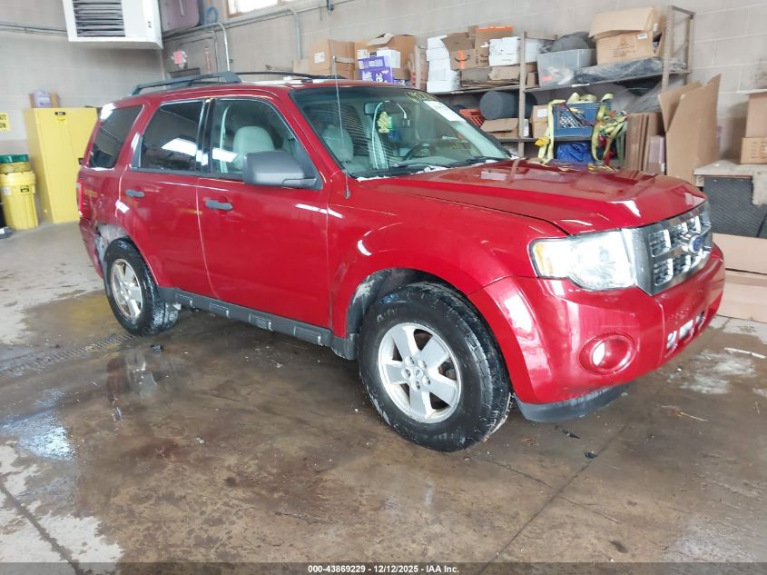 FORD ESCAPE XLT