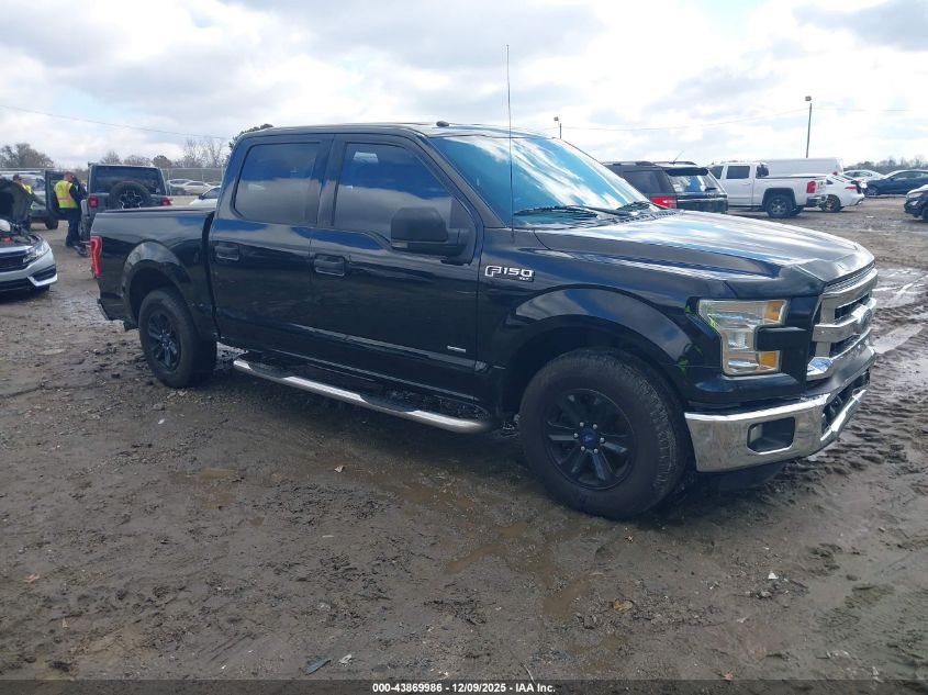 FORD F-150 XLT