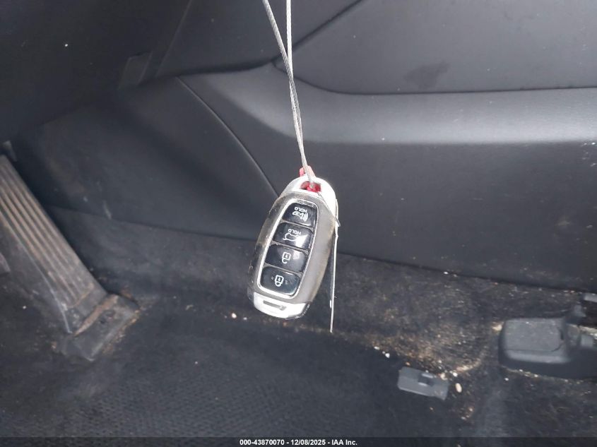 2020 Hyundai Santa Fe Sel VIN: 5NMS3CAD5LH173634 Lot: 43870070