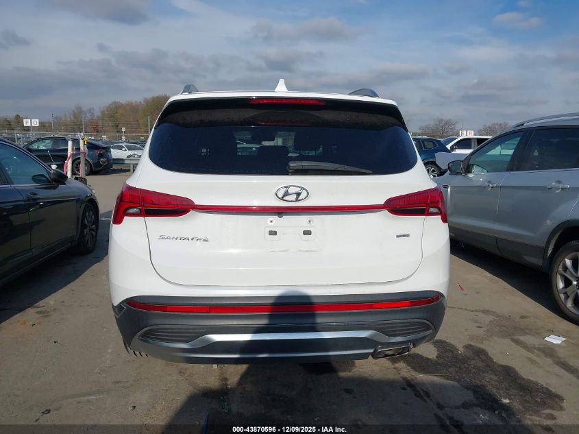 2023 Hyundai Santa Fe Sel VIN: 5NMS3DAJ9PH531240 Lot: 43870596