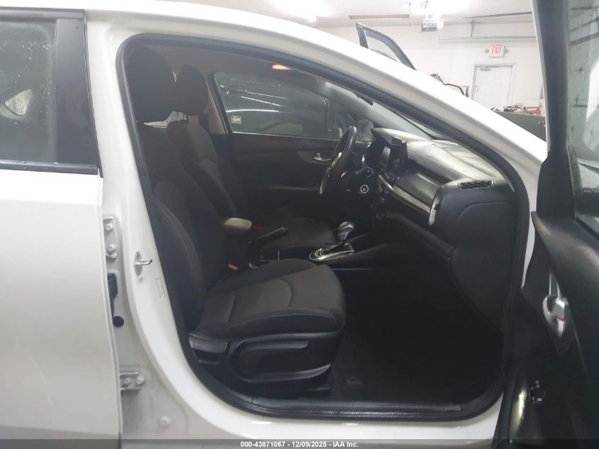 2019 Kia Forte Lxs VIN: 3KPF24ADXKE126616 Lot: 43871067