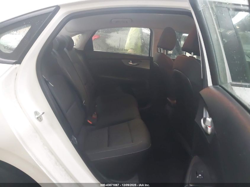 2019 Kia Forte Lxs VIN: 3KPF24ADXKE126616 Lot: 43871067