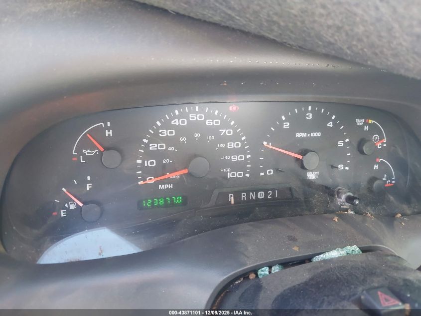 2002 Ford F-250 Lariat/Xl/Xlt VIN: 1FTNX21S62EA84196 Lot: 43871101