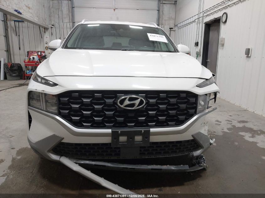 2023 Hyundai Santa Fe Sel VIN: 5NMS2DAJ3PH513416 Lot: 43871391