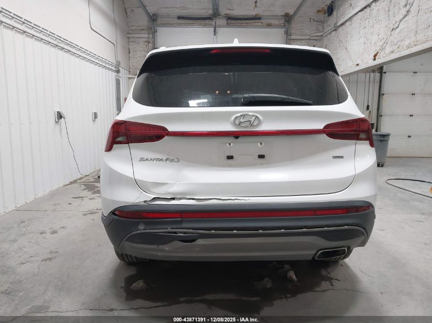 2023 Hyundai Santa Fe Sel VIN: 5NMS2DAJ3PH513416 Lot: 43871391