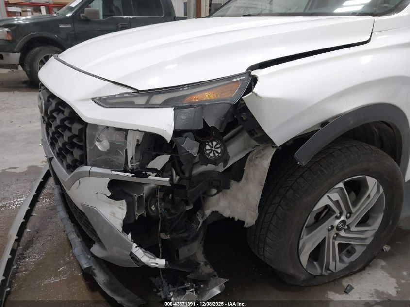 2023 Hyundai Santa Fe Sel VIN: 5NMS2DAJ3PH513416 Lot: 43871391