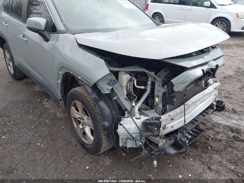 2019 Toyota Rav4 Xle VIN: JTMP1RFV0KD032509 Lot: 43871443