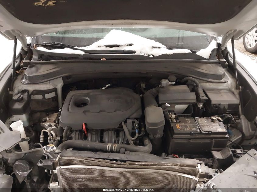 2020 Hyundai Santa Fe Sel VIN: 5NMS3CAD3LH267818 Lot: 43871617