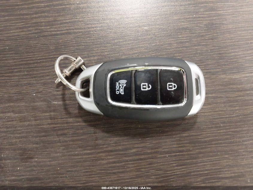 2020 Hyundai Santa Fe Sel VIN: 5NMS3CAD3LH267818 Lot: 43871617