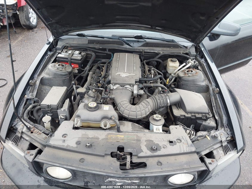 1ZVHT82H075261439 2007 FORD MUSTANG photo no. 10