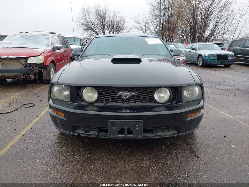1ZVHT82H075261439 2007 FORD MUSTANG photo no. 12