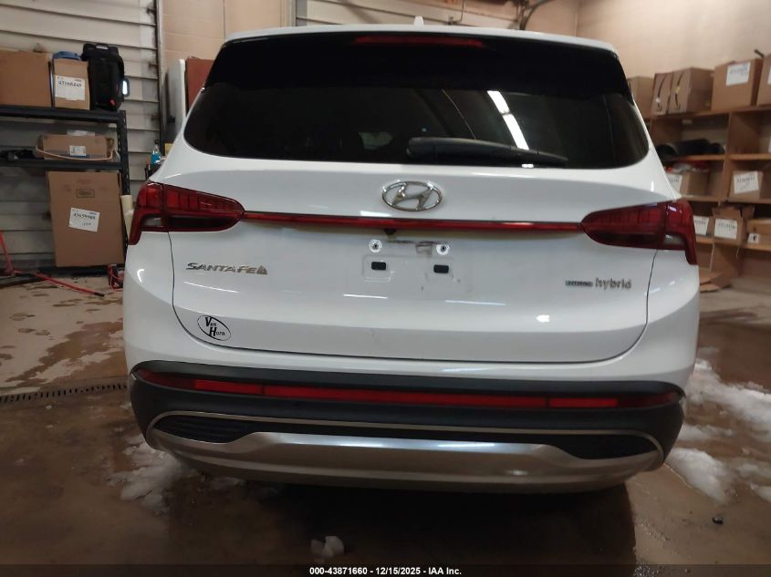 2021 Hyundai Santa Fe Hybrid Sel Premium VIN: KM8S3DA11MU002753 Lot: 43871660