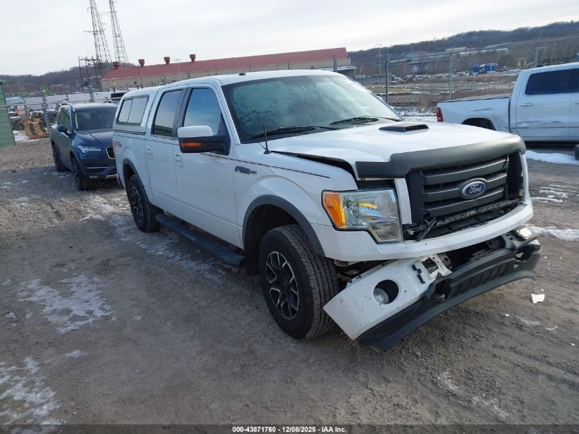 FORD F-150 FX4/HARLEY-DAVIDSON/KING RANCH/LARIAT/PLATINUM/XL/XLT