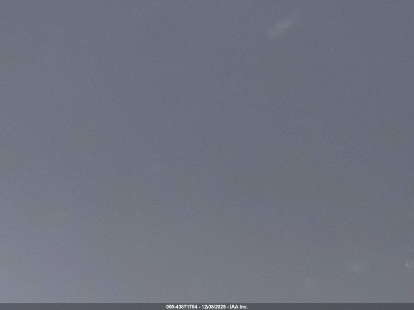 2019 Honda Passport Elite VIN: 5FNYF8H01KB006690 Lot: 43871784