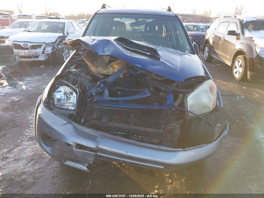 2004 Toyota Rav4 VIN: JTEGD20V940017293 Lot: 43872107